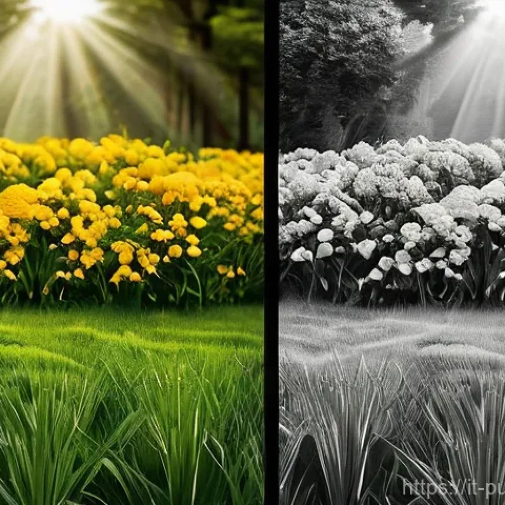 공공관리사 이론시험 대비 학습 전략 - Here are three image prompts in English, designed to be suitable for Stable Diffusion, adhering to a...