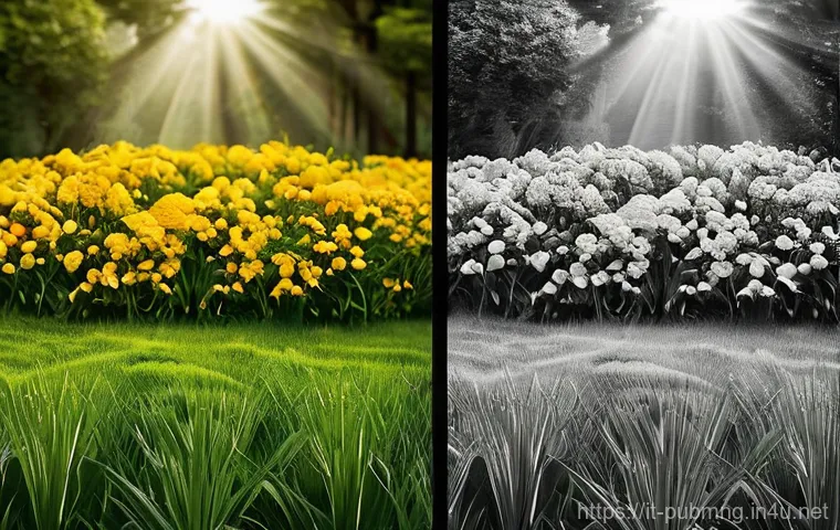 공공관리사 이론시험 대비 학습 전략 - Here are three image prompts in English, designed to be suitable for Stable Diffusion, adhering to a...